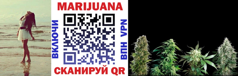 Конопля Bruce Banner  купить закладку  Княгинино 